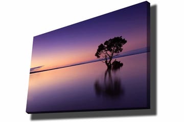 Canvastavla 70x100 cm - Ensam trädkrona speglar sig i en stilla sjö under en färgsprakande himmel vid skymning - Lila / Orange / Svart - Inredning - Tavlor & posters - Canvastavla