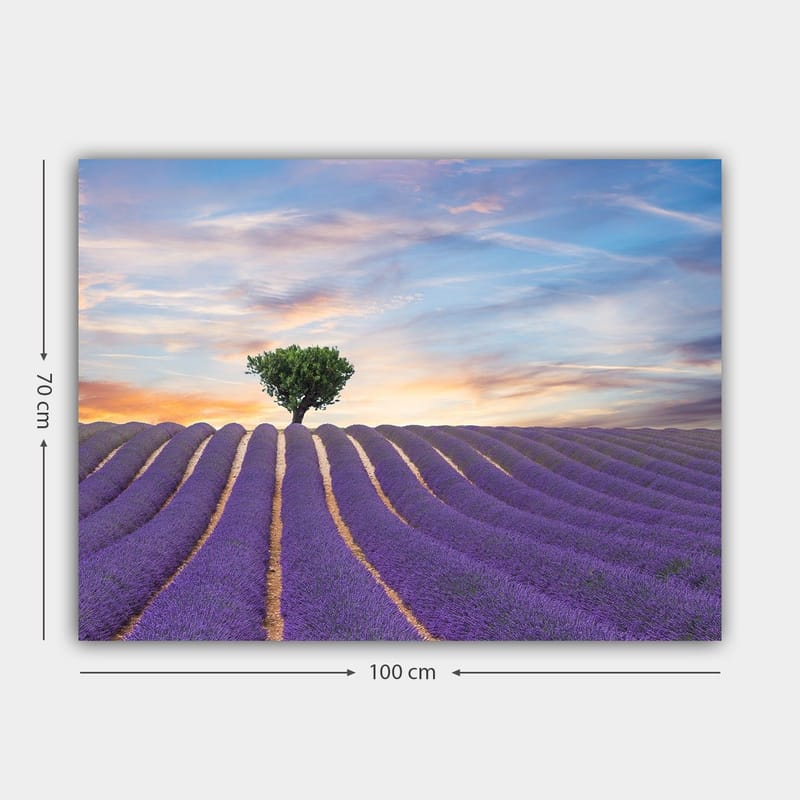 Canvastavla 70x100 cm - Ensam trädkrona står stolt över ett fält av lavendel i mjuka, vågiga rader under en färgsprakande himmel - Lila / Grön / Gul - Inredning - Tavlor & posters - Canvastavla
