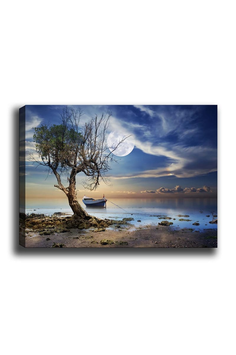 Canvastavla 70x100 cm - Enslig, död trädstam vid en stilla vattenyta med en båt i bakgrunden under en stjärnklar himmel - Blå / Grön / Beige - Inredning - Tavlor & posters - Canvastavla