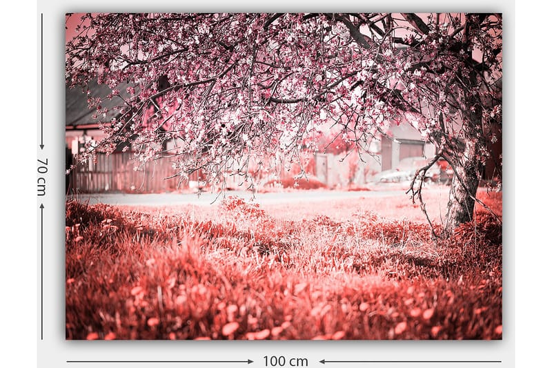 Canvastavla 70x100 cm - Ett blommande körsbärsträd i en romantisk och drömlik miljö - Rosa / Grå - Inredning - Tavlor & posters - Canvastavla