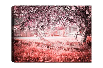 Canvastavla 70x100 cm - Ett blommande körsbärsträd i en romantisk och drömlik miljö - Rosa / Grå - Inredning - Tavlor & posters - Canvastavla