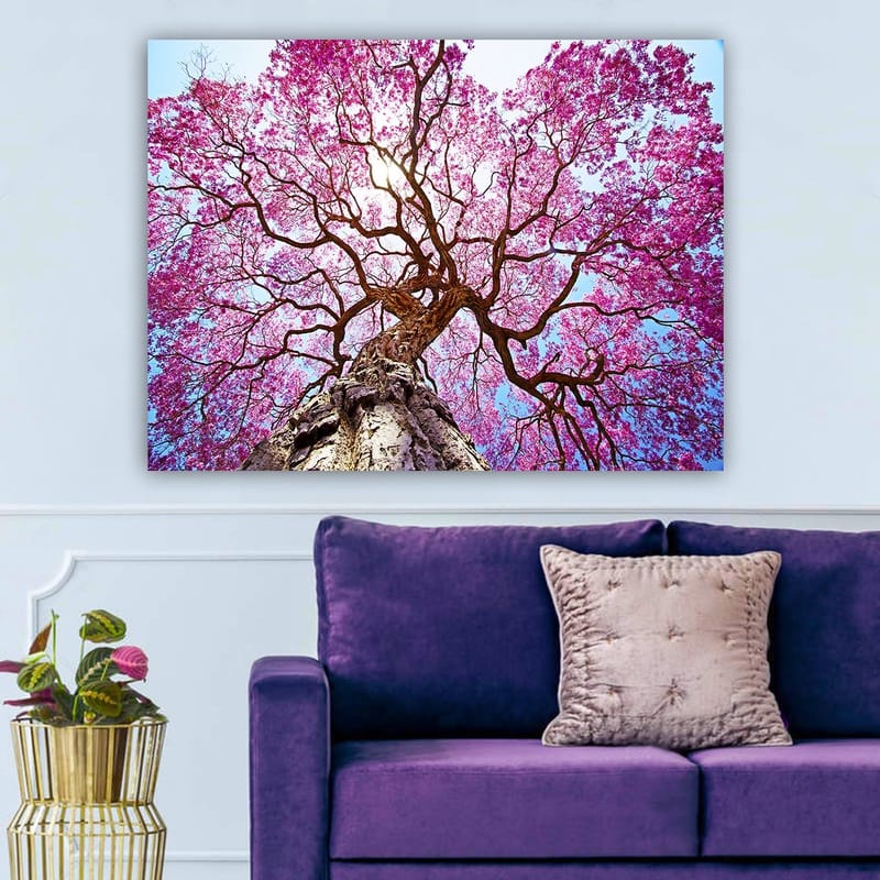Canvastavla 70x100 cm - Ett majestätiskt körsbärsträd med blommande rosa blommor som sträcker sig mot en klar blå himmel - Rosa / Brun / Blå - Inredning - Tavlor & posters - Canvastavla