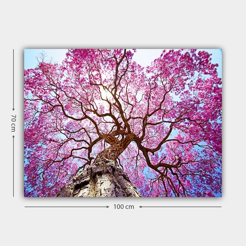 Canvastavla 70x100 cm - Ett majestätiskt körsbärsträd med blommande rosa blommor som sträcker sig mot en klar blå himmel - Rosa / Brun / Blå - Inredning - Tavlor & posters - Canvastavla