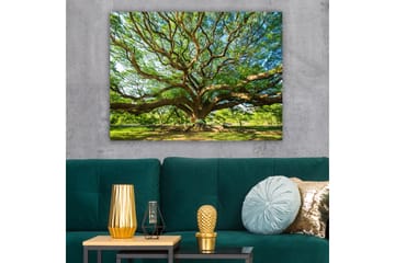 Canvastavla 70x100 cm - Ett stort och majestätiskt träd med utbredda grenar och frodig grönska - Grön / Brun - Inredning - Tavlor & posters - Canvastavla