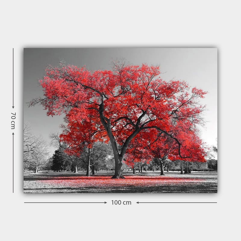 Canvastavla 70x100 cm - Ett stort rött träd i en svartvit parklandskap - Röd / Svart - Inredning - Tavlor & posters - Canvastavla
