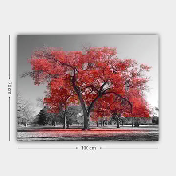 Canvastavla 70x100 cm - Ett stort rött träd i en svartvit parklandskap - Röd / Svart - Inredning - Tavlor & posters - Canvastavla