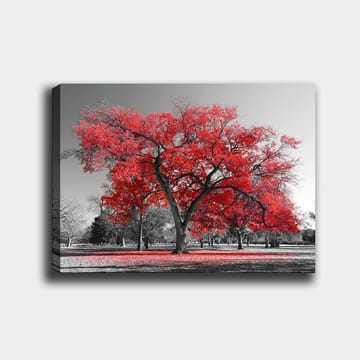 Canvastavla 70x100 cm - Ett stort rött träd i en svartvit parklandskap - Röd / Svart - Inredning - Tavlor & posters - Canvastavla