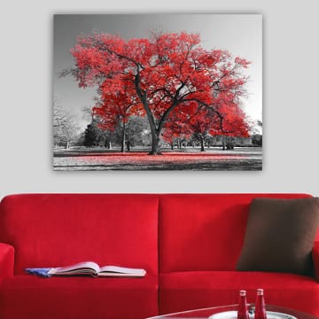 Canvastavla 70x100 cm - Ett stort rött träd i en svartvit parklandskap - Röd / Svart - Inredning - Tavlor & posters - Canvastavla