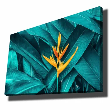 Canvastavla 70x100 cm - Färgglad blomma omgiven av stora, gröna blad - Turkos / Gul - Inredning - Tavlor & posters - Canvastavla