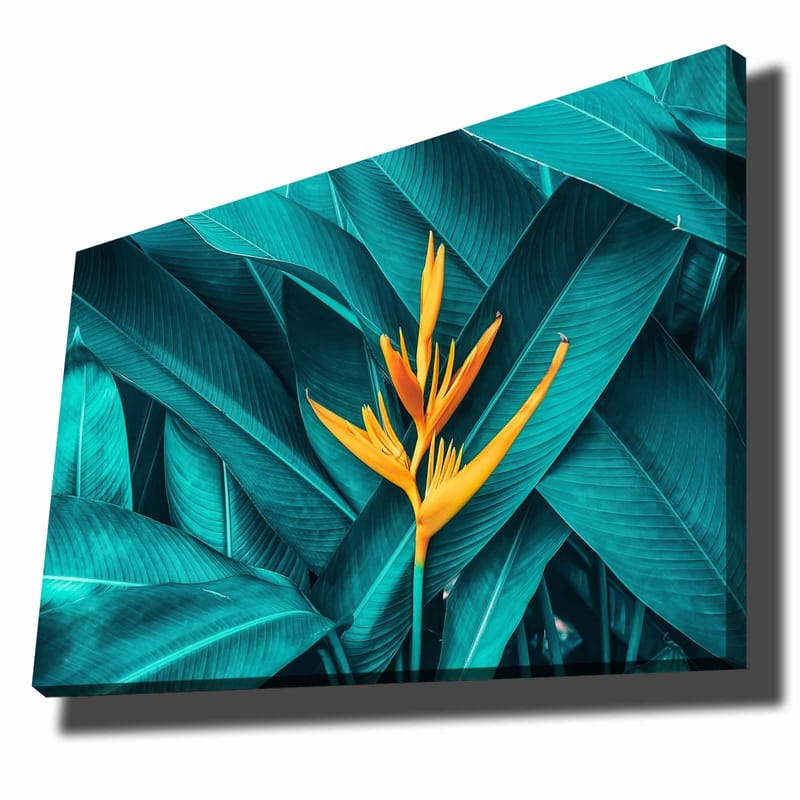 Canvastavla 70x100 cm - Färgglad blomma omgiven av stora, gröna blad, Turkos / Gul