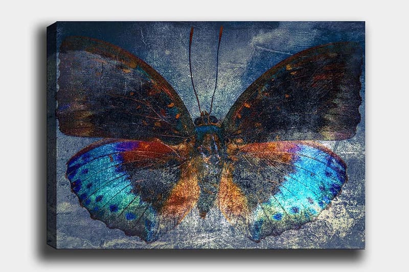 Canvastavla 70x100 cm - Färgglad fjäril med detaljerade vingar i blått och orange, Blå / Orange / Svart