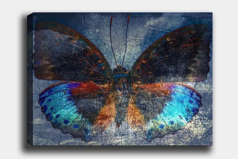 Canvastavla 70x100 cm - Färgglad fjäril med detaljerade vingar i blått och orange, Blå / Orange / Svart
