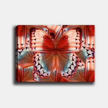 Canvastavla 70x100 cm - Färgglad fjäril med detaljerade vingar i röd och blå nyans - Röd / Blå - Inredning - Tavlor & posters - Canvastavla