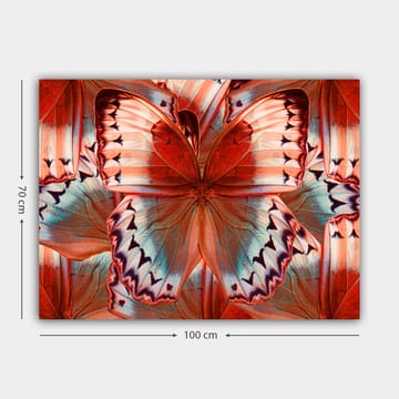 Canvastavla 70x100 cm - Färgglad fjäril med detaljerade vingar i röd och blå nyans - Röd / Blå - Inredning - Tavlor & posters - Canvastavla