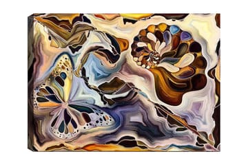 Canvastavla 70x100 cm - Färgglad fjäril och snäcka som svävar i en abstrakt komposition - Guld / Blå / Brun - Inredning - Tavlor & posters - Canvastavla