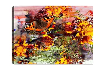 Canvastavla 70x100 cm - Färgglad fjäril som sitter på blommor i en livlig trädgård - Orange / Gult / Grönt - Inredning - Tavlor & posters - Canvastavla