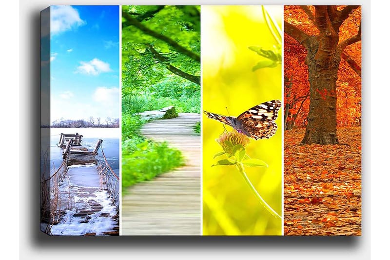 Canvastavla 70x100 cm - Färgglad fyrdelad tavla som visar olika årstider med naturmotiv - Blå / Grön / Orange - Inredning - Tavlor & posters - Canvastavla