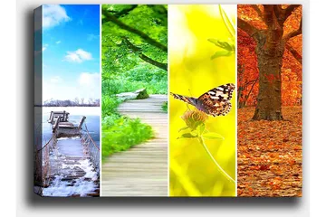Canvastavla 70x100 cm - Färgglad fyrdelad tavla som visar olika årstider med naturmotiv - Blå / Grön / Orange - Inredning - Tavlor & posters - Canvastavla