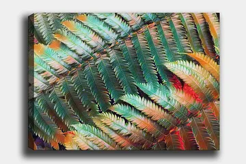 Canvastavla 70x100 cm - Färgglad komposition av ferns med varierande gröna och orange nyanser - Grön / Orange - Inredning - Tavlor & posters - Canvastavla