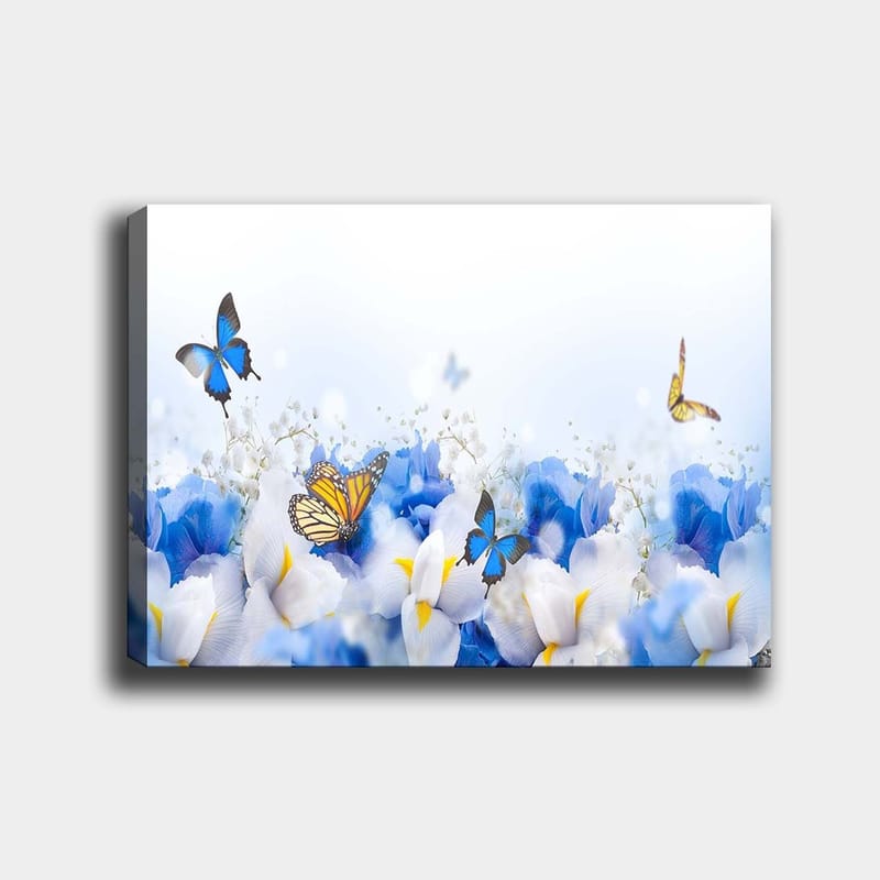 Canvastavla 70x100 cm - Färgglad komposition av fjärilar som svävar över vita och blå blommor, Blå / Vit / Gul