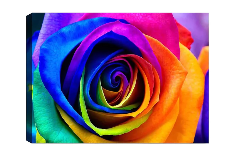 Canvastavla 70x100 cm - Färgglad ros med spiraler av regnbågens färger - Blå / Lila / Orange - Inredning - Tavlor & posters - Canvastavla