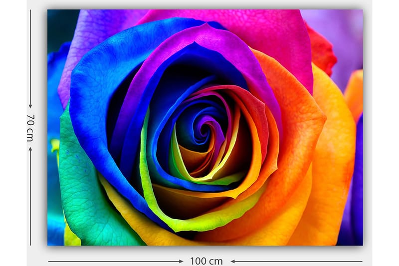 Canvastavla 70x100 cm - Färgglad ros med spiraler av regnbågens färger - Blå / Lila / Orange - Inredning - Tavlor & posters - Canvastavla