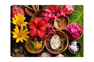 Canvastavla 70x100 cm - Färgglad samling av blommor och naturliga element i skålar - Röd / Gul / Rosa - Inredning - Tavlor & posters - Canvastavla