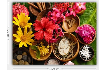 Canvastavla 70x100 cm - Färgglad samling av blommor och naturliga element i skålar - Röd / Gul / Rosa - Inredning - Tavlor & posters - Canvastavla