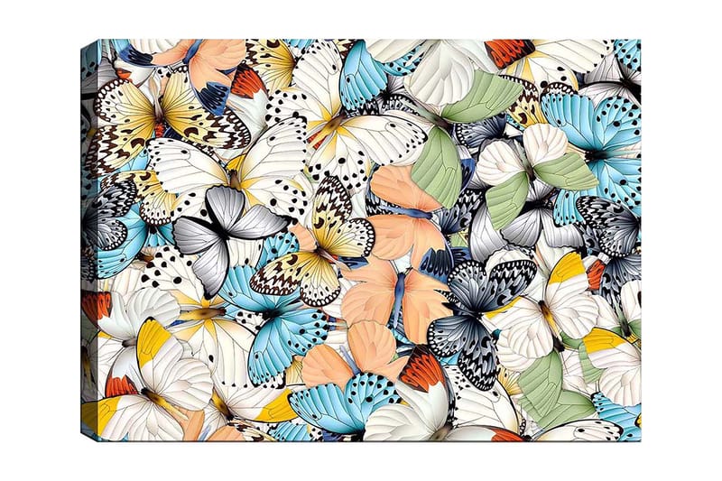 Canvastavla 70x100 cm - Färgglad samling av fjärilar i olika mönster och färger, Blå / Vit / Orange