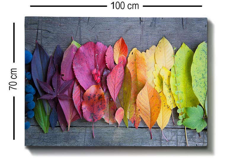 Canvastavla 70x100 cm - Färgglad samling av höstlöv i olika nyanser som visar naturens skönhet - Röd / Gul / Grön - Inredning - Tavlor & posters - Canvastavla