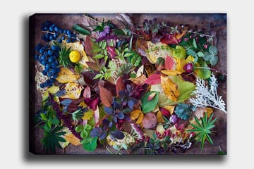 Canvastavla 70x100 cm - Färgglad samling av höstlöv och bär - Grön / Röd / Gul - Inredning - Tavlor & posters - Canvastavla