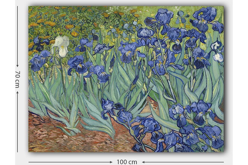 Canvastavla 70x100 cm - Färgglad samling av irisblommor i olika nyanser av blått - Blå / Grön / Vit - Inredning - Tavlor & posters - Canvastavla