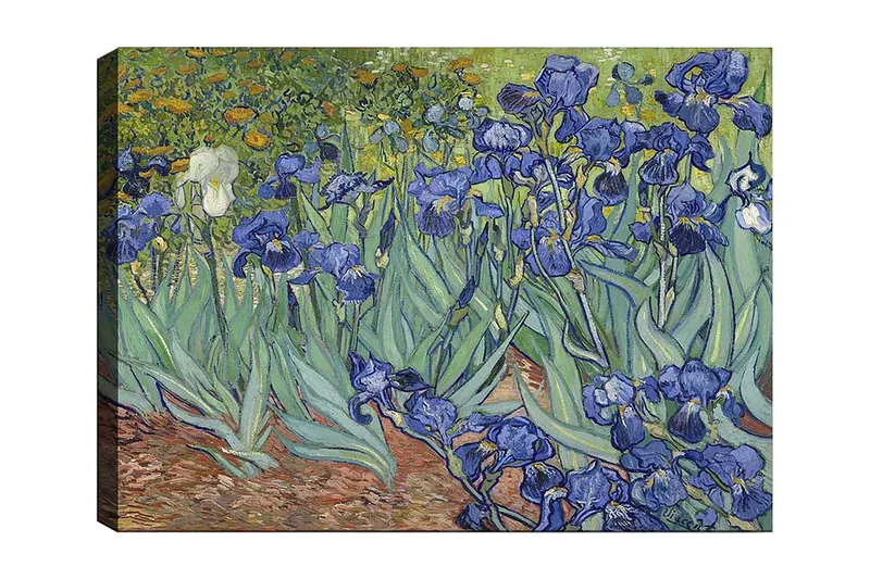 Canvastavla 70x100 cm - Färgglad samling av irisblommor i olika nyanser av blått, Blå / Grön / Vit