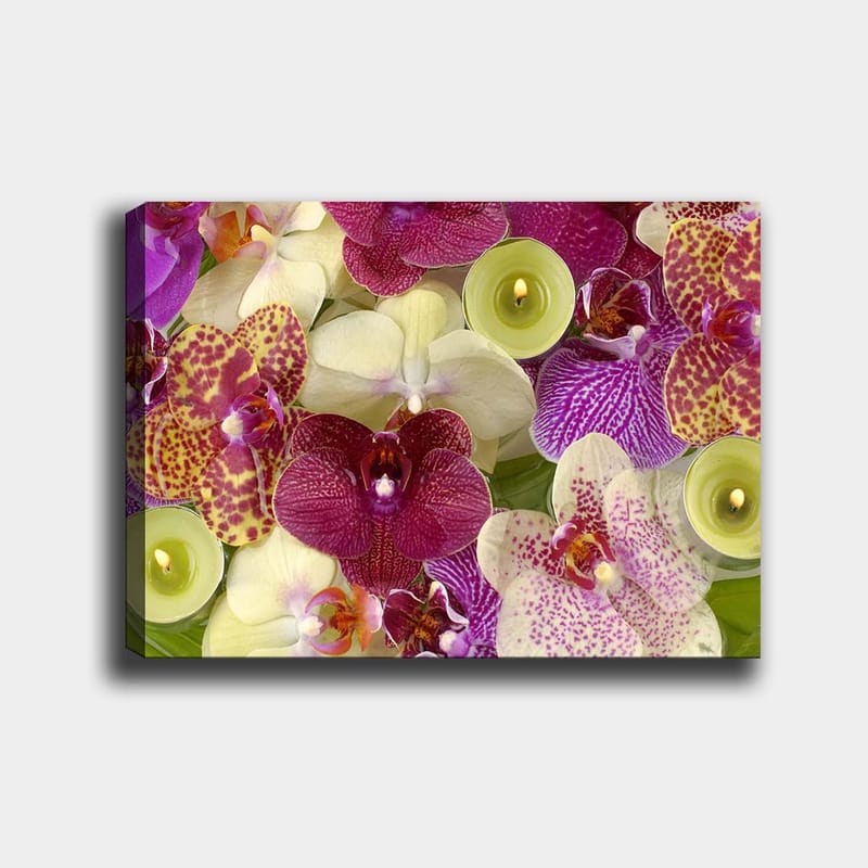 Canvastavla 70x100 cm - Färgglad samling av orkidéer i olika nyanser och former - Lila / Vit / Gul - Inredning - Tavlor & posters - Canvastavla