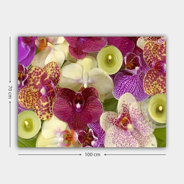 Canvastavla 70x100 cm - Färgglad samling av orkidéer i olika nyanser och former - Lila / Vit / Gul - Inredning - Tavlor & posters - Canvastavla