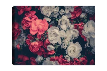 Canvastavla 70x100 cm - Färgglada blommor i röd och vit nyans - Röd / Vit - Inredning - Tavlor & posters - Canvastavla