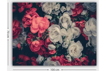 Canvastavla 70x100 cm - Färgglada blommor i röd och vit nyans - Röd / Vit - Inredning - Tavlor & posters - Canvastavla