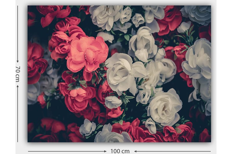 Canvastavla 70x100 cm - Färgglada blommor i röd och vit nyans - Röd / Vit - Inredning - Tavlor & posters - Canvastavla