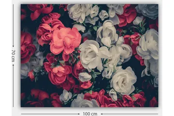 Canvastavla 70x100 cm - Färgglada blommor i röd och vit nyans - Röd / Vit - Inredning - Tavlor & posters - Canvastavla