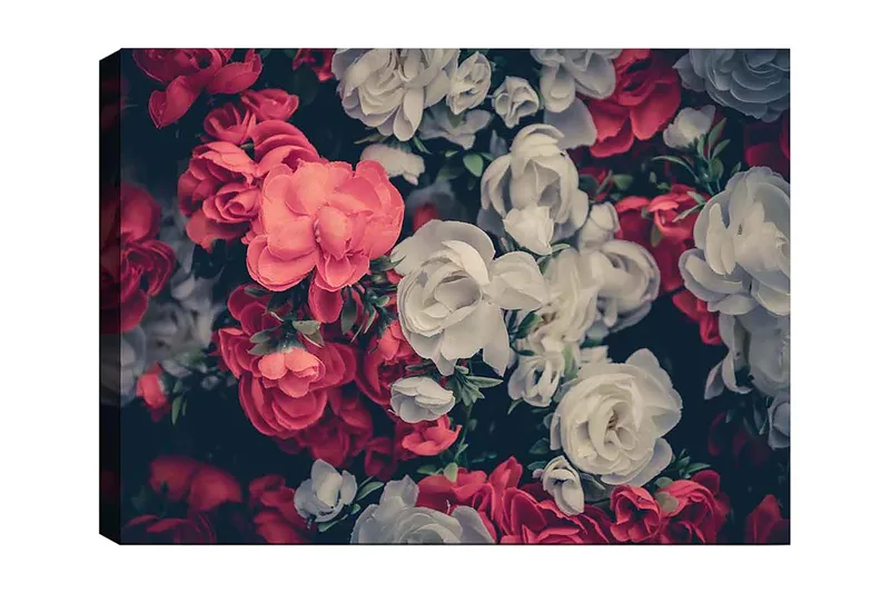 Canvastavla 70x100 cm - Färgglada blommor i röd och vit nyans, Röd / Vit