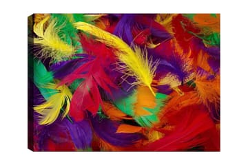 Canvastavla 70x100 cm - Färgglada fjädrar i en livlig sammansättning - Röd / Gul / Grön - Inredning - Tavlor & posters - Canvastavla