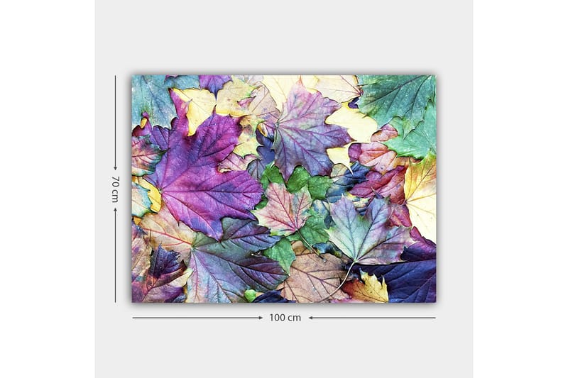 Canvastavla 70x100 cm - Färgglada höstlöv i en harmonisk komposition - Lila / Grön / Gul - Inredning - Tavlor & posters - Canvastavla