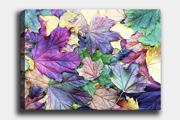 Canvastavla 70x100 cm - Färgglada höstlöv i en harmonisk komposition - Lila / Grön / Gul - Inredning - Tavlor & posters - Canvastavla