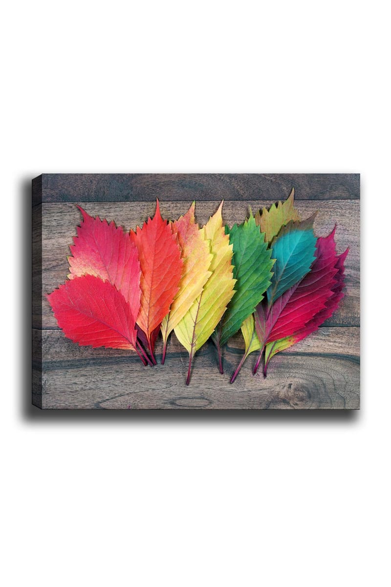 Canvastavla 70x100 cm - Färgglada höstlöv i olika nyanser som ligger på en träyta, Röd / Grön / Gul