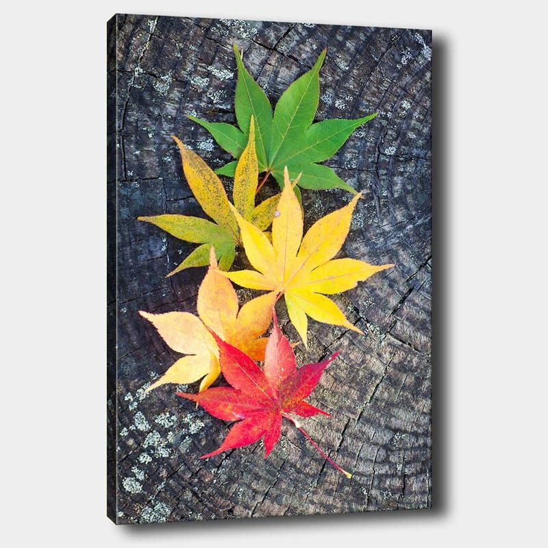 Canvastavla 70x100 cm - Färgglada höstlöv i olika nyanser på en träyta - Grön / Gul / Röd - Inredning - Tavlor & posters - Canvastavla