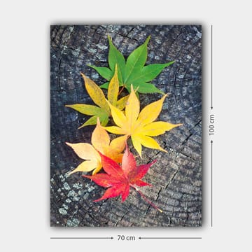 Canvastavla 70x100 cm - Färgglada höstlöv i olika nyanser på en träyta - Grön / Gul / Röd - Inredning - Tavlor & posters - Canvastavla