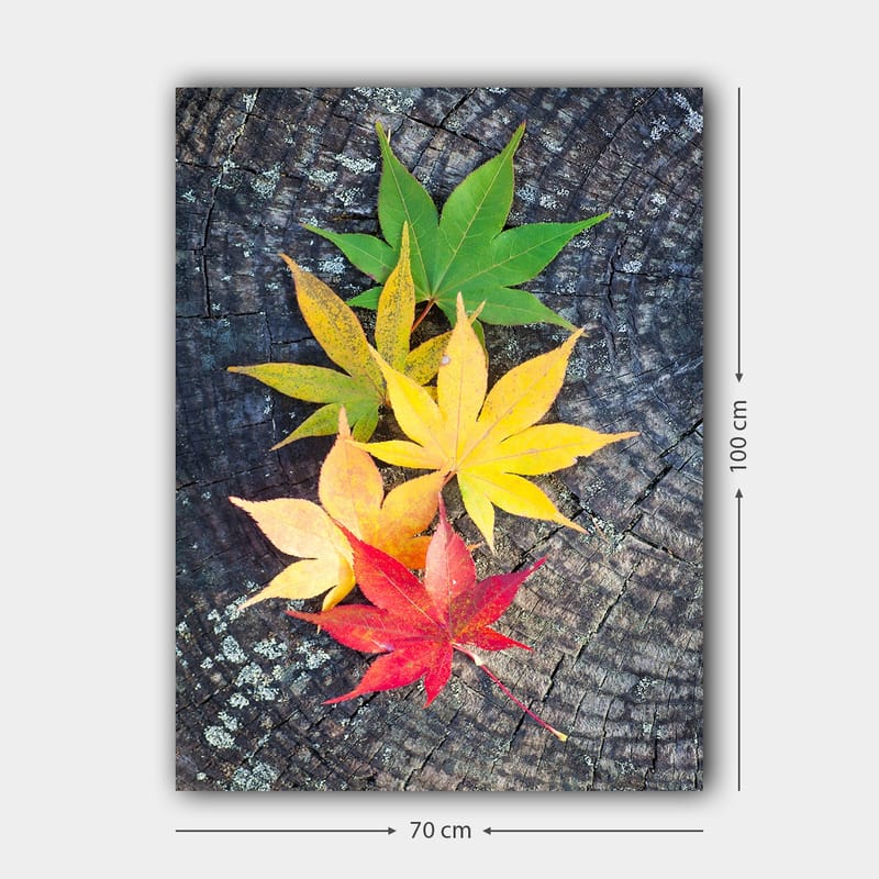 Canvastavla 70x100 cm - Färgglada höstlöv i olika nyanser på en träyta - Grön / Gul / Röd - Inredning - Tavlor & posters - Canvastavla