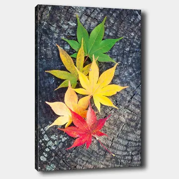 Canvastavla 70x100 cm - Färgglada höstlöv i olika nyanser på en träyta - Grön / Gul / Röd - Inredning - Tavlor & posters - Canvastavla