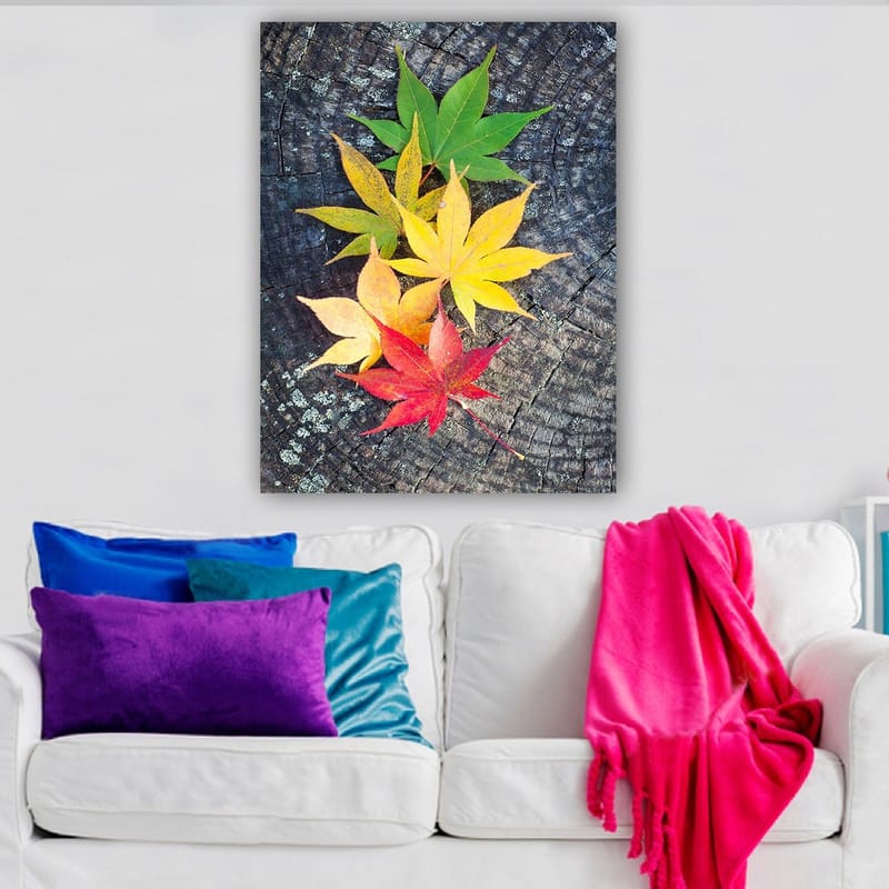 Canvastavla 70x100 cm - Färgglada höstlöv i olika nyanser på en träyta, Grön / Gul / Röd