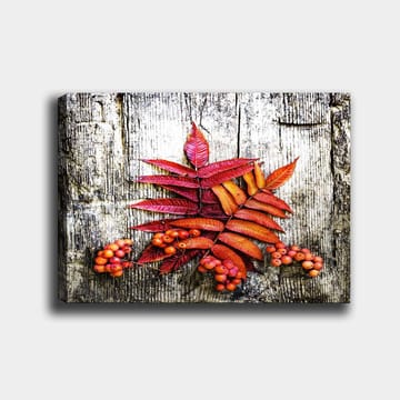 Canvastavla 70x100 cm - Färgglada höstlöv och bär på en träyta - Röd / Orange / Gul - Inredning - Tavlor & posters - Canvastavla